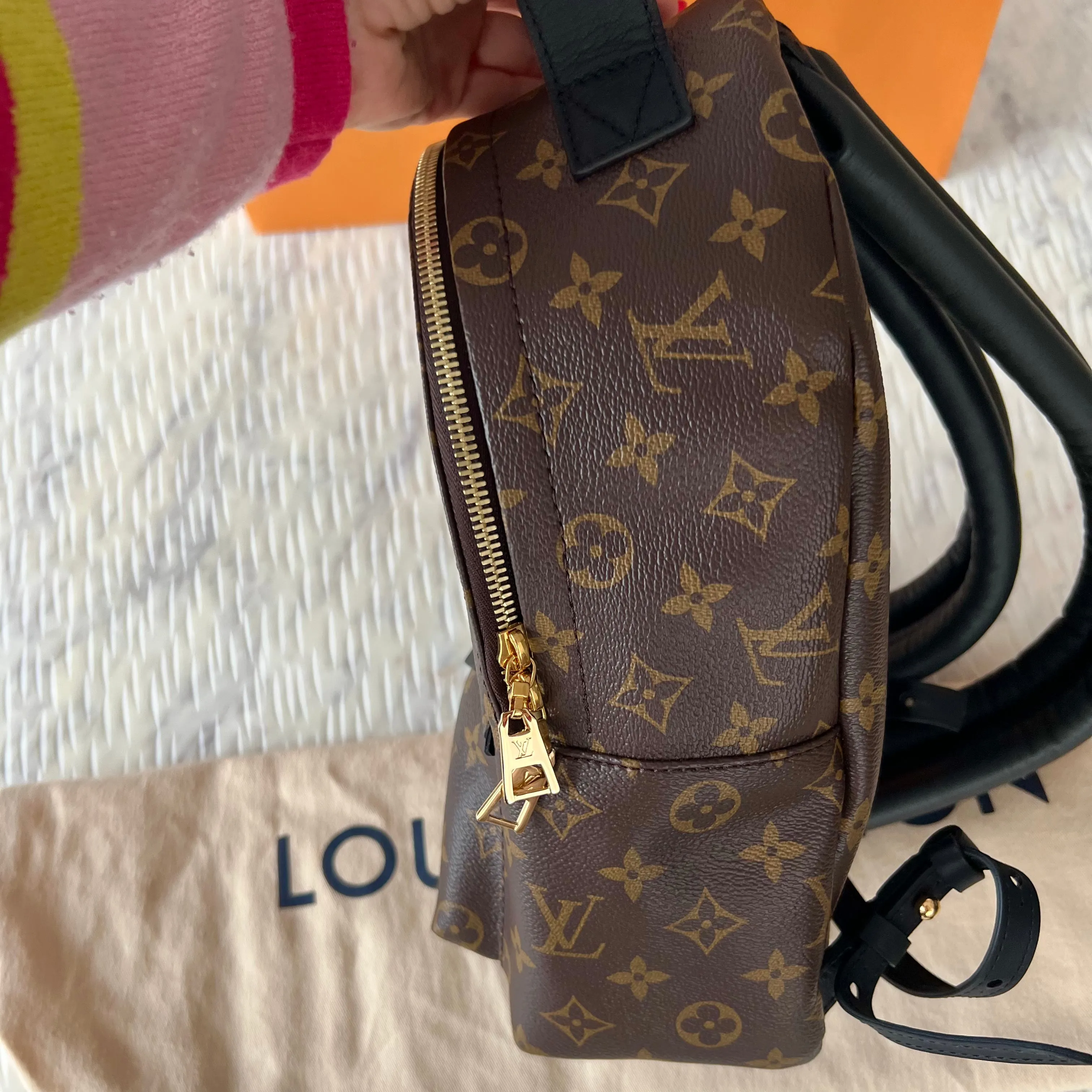 Louis Vuitton Palm Springs Backpack