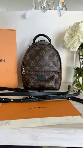 Louis Vuitton Palm Springs Mini Backpack