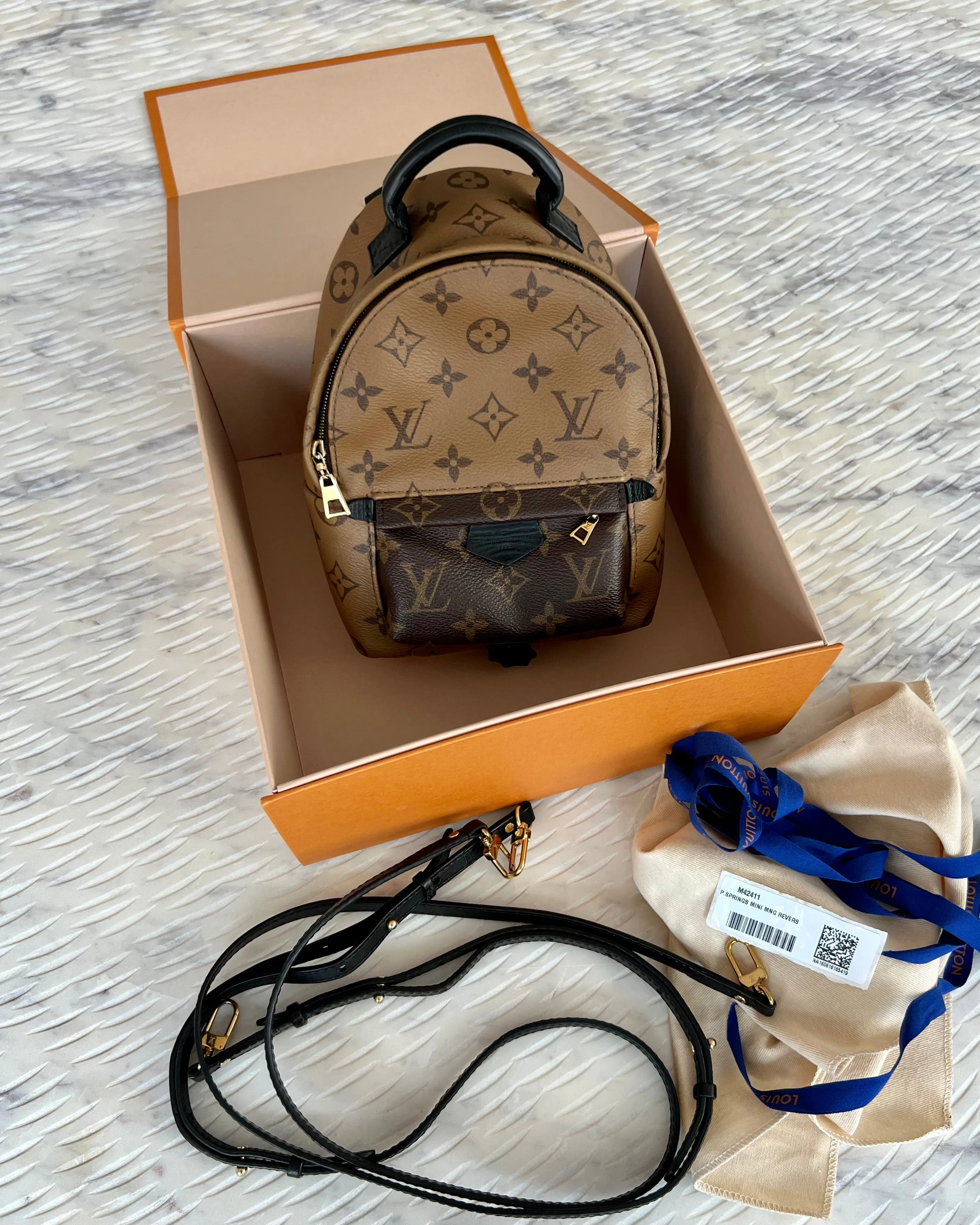 Louis Vuitton Palm Springs Mini Backpack