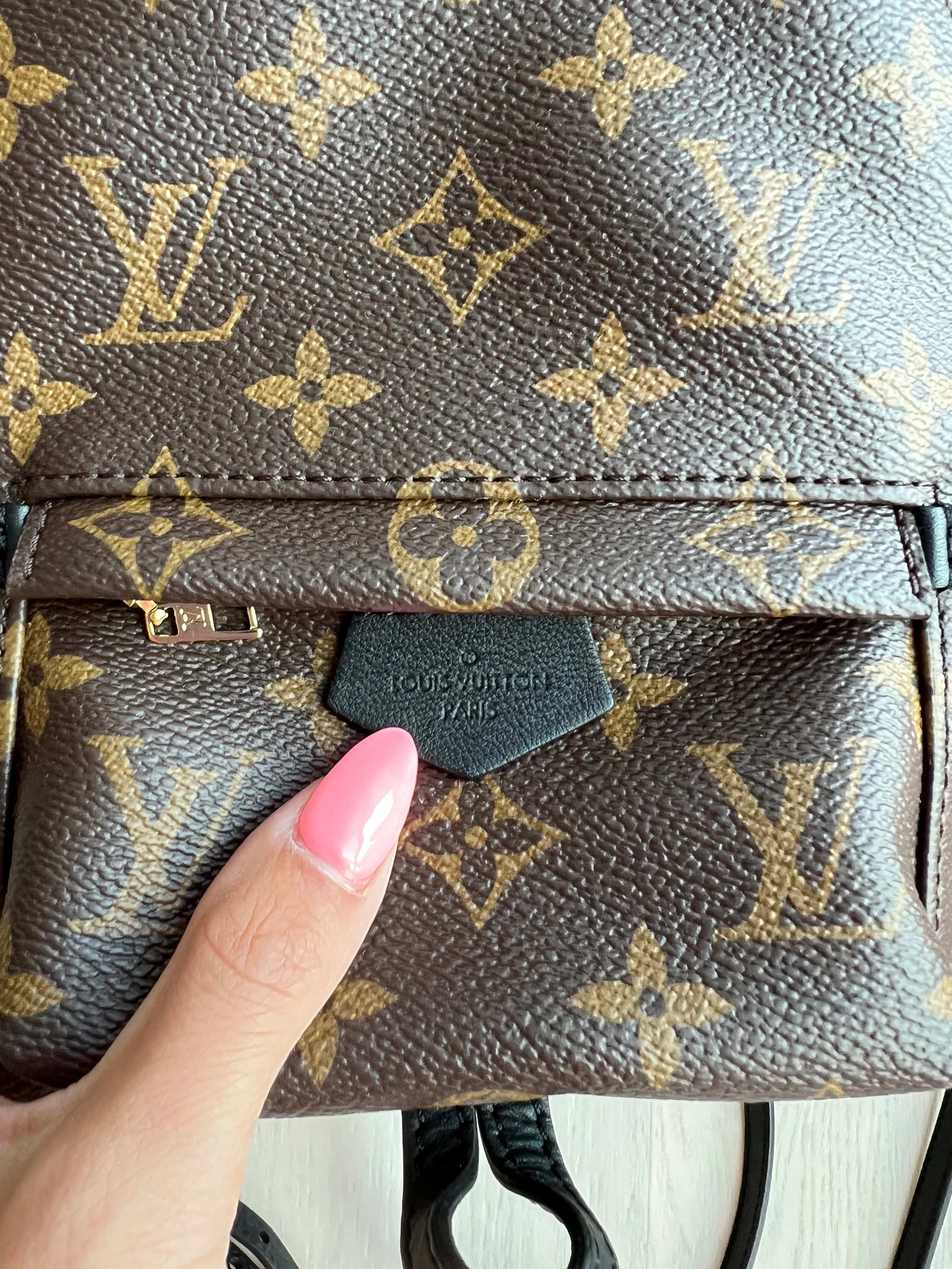 Louis Vuitton Palm Springs Mini Backpack