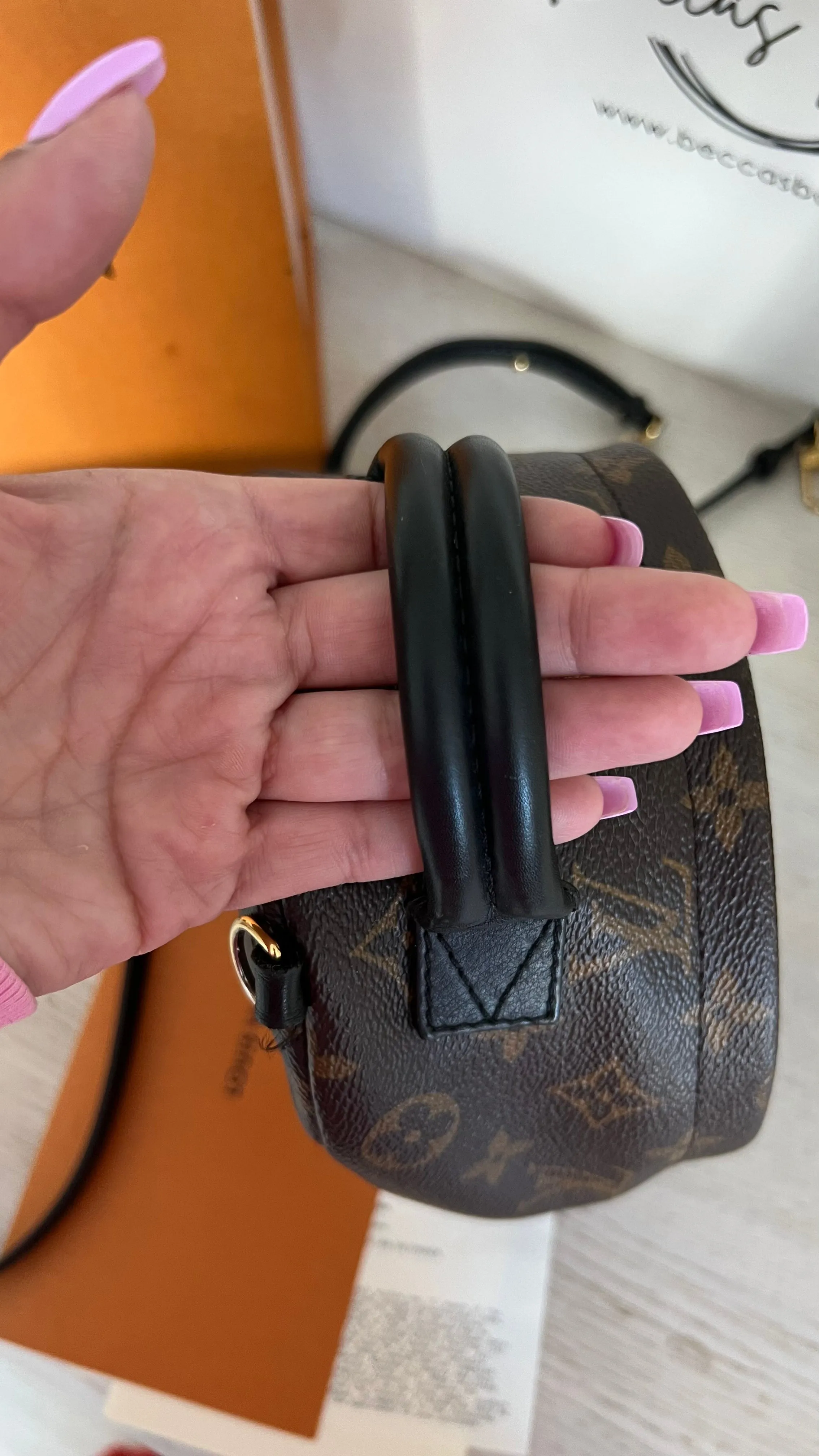 Louis Vuitton Palm Springs Mini Backpack