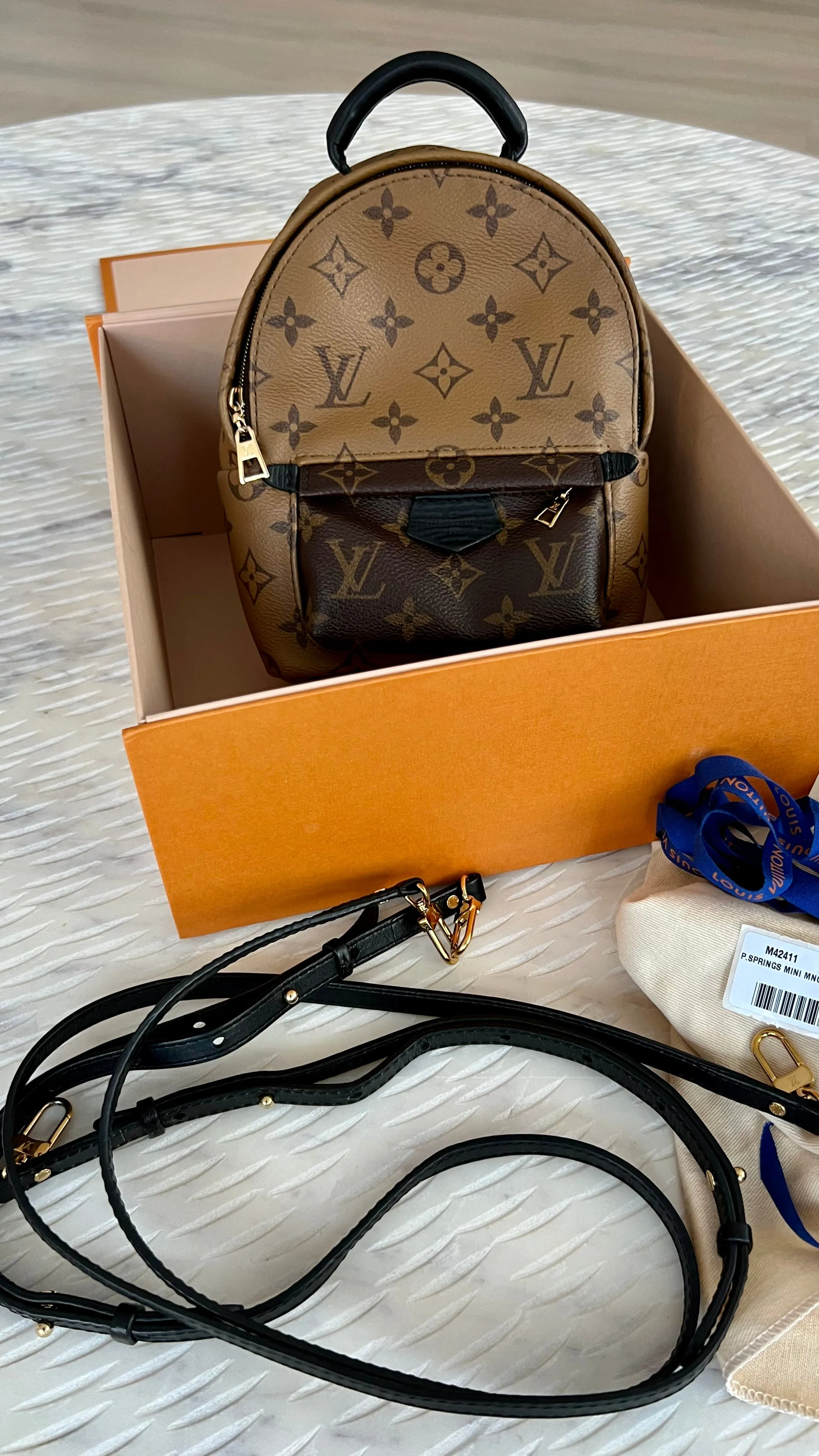 Louis Vuitton Palm Springs Mini Backpack