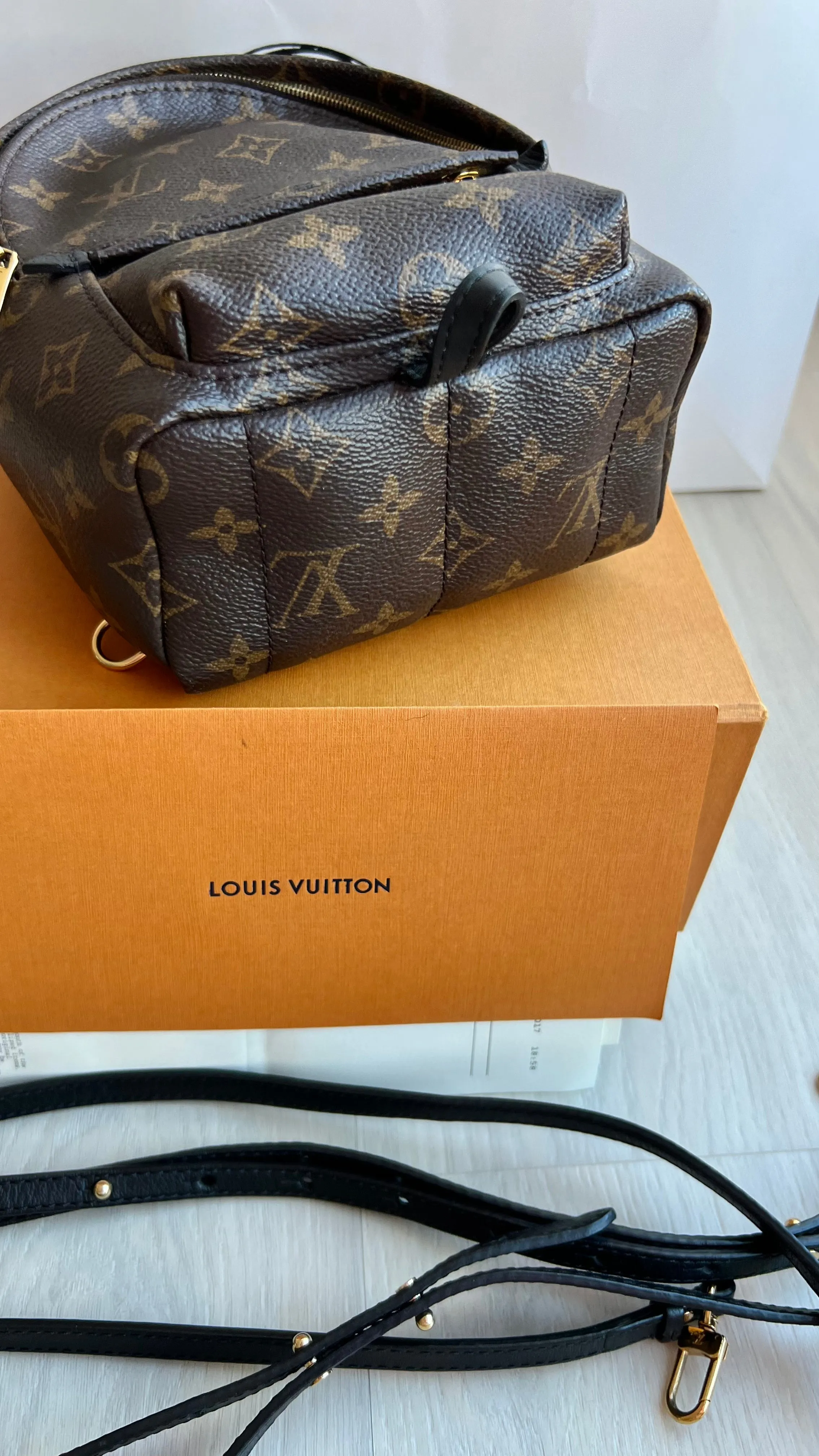 Louis Vuitton Palm Springs Mini Backpack