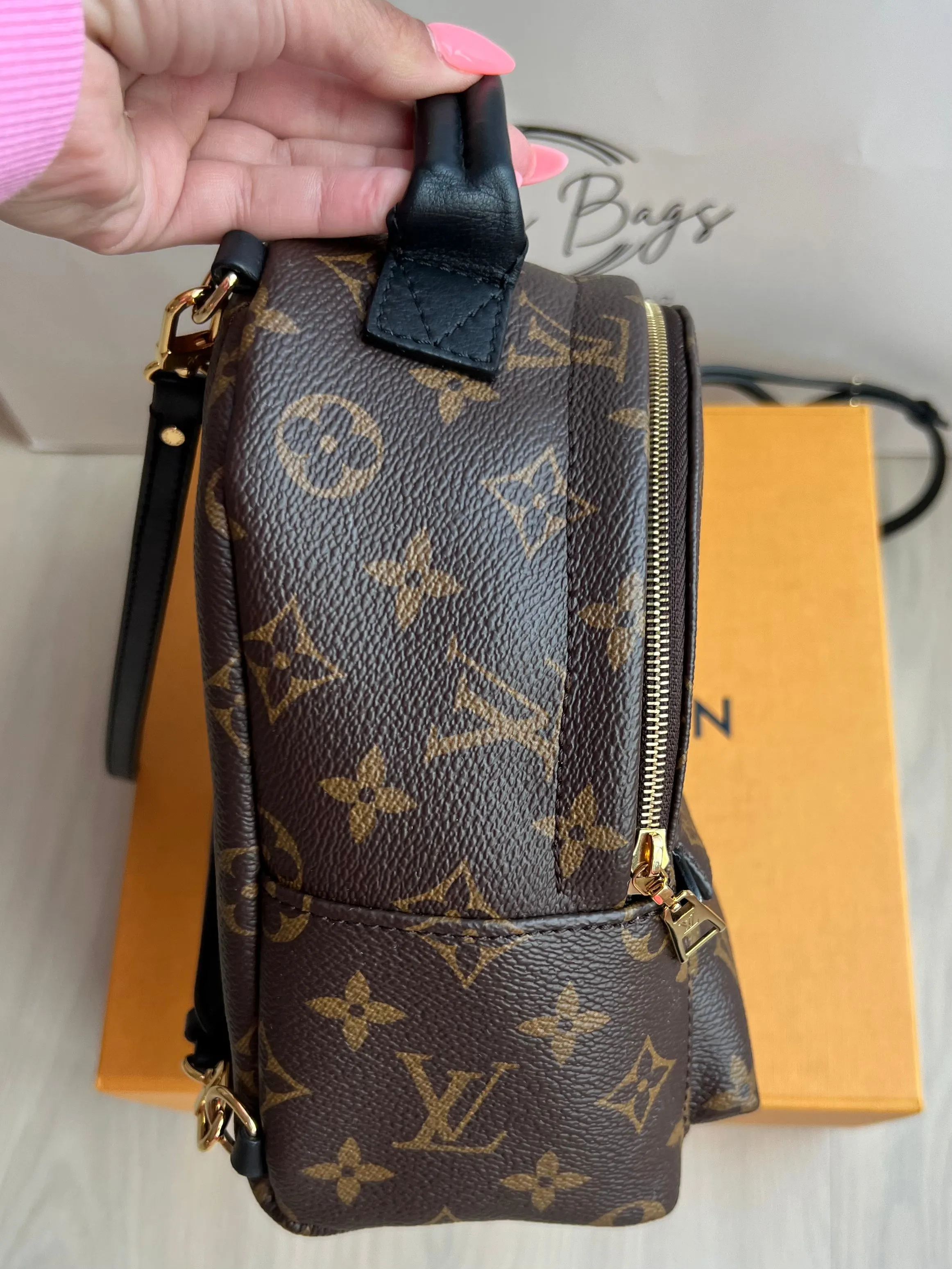 Louis Vuitton Palm Springs Mini Backpack