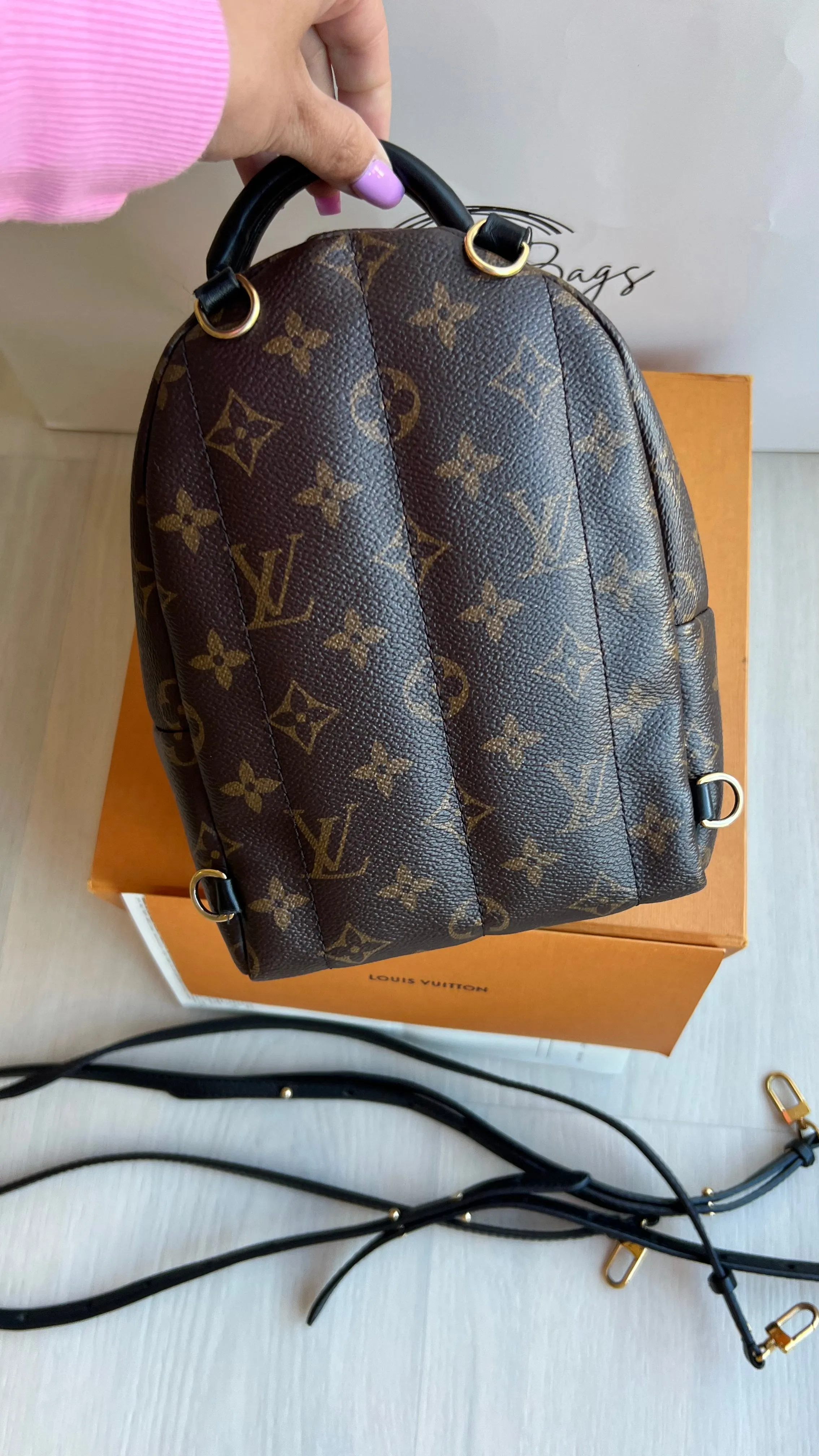 Louis Vuitton Palm Springs Mini Backpack