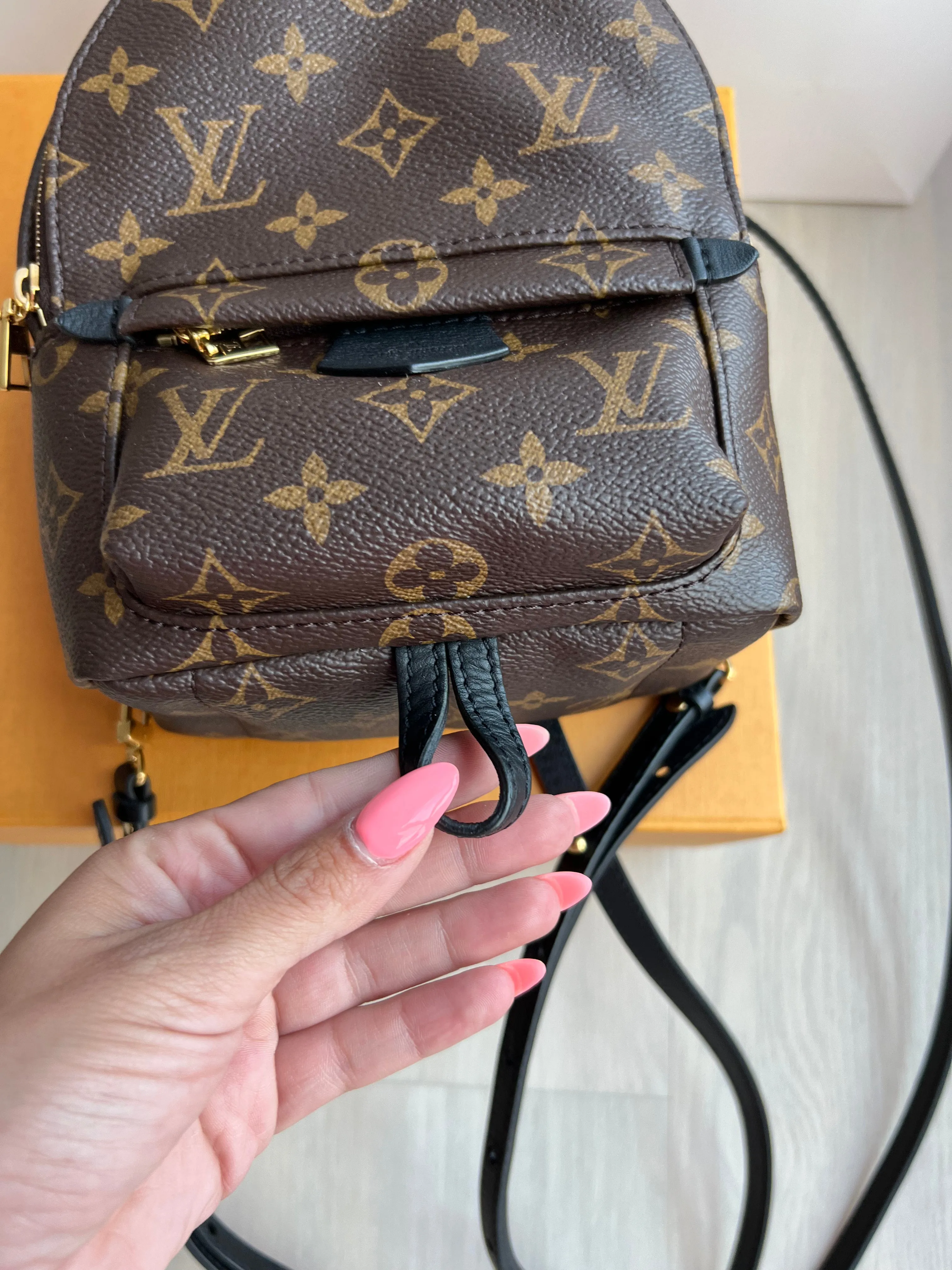 Louis Vuitton Palm Springs Mini Backpack