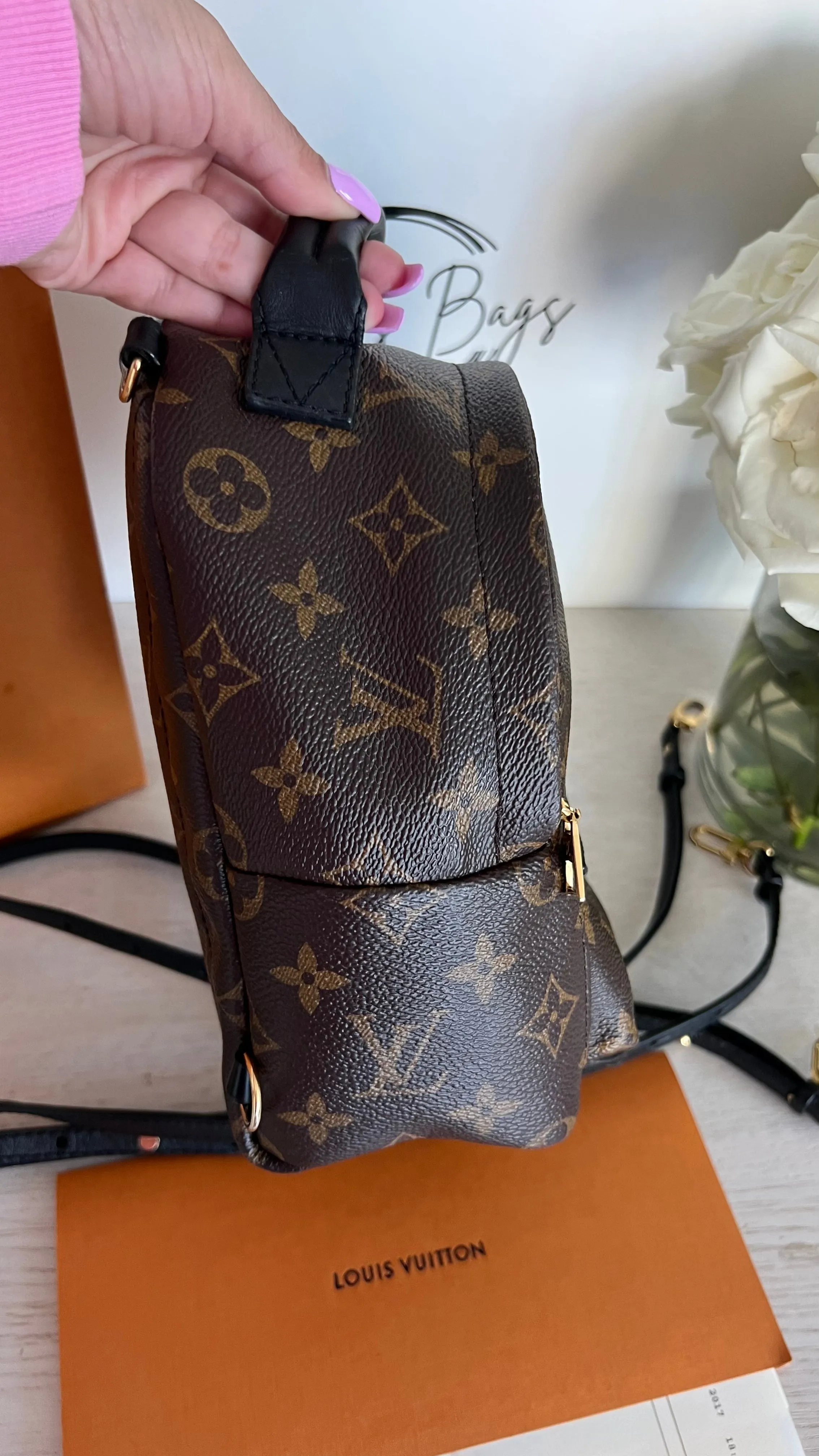 Louis Vuitton Palm Springs Mini Backpack