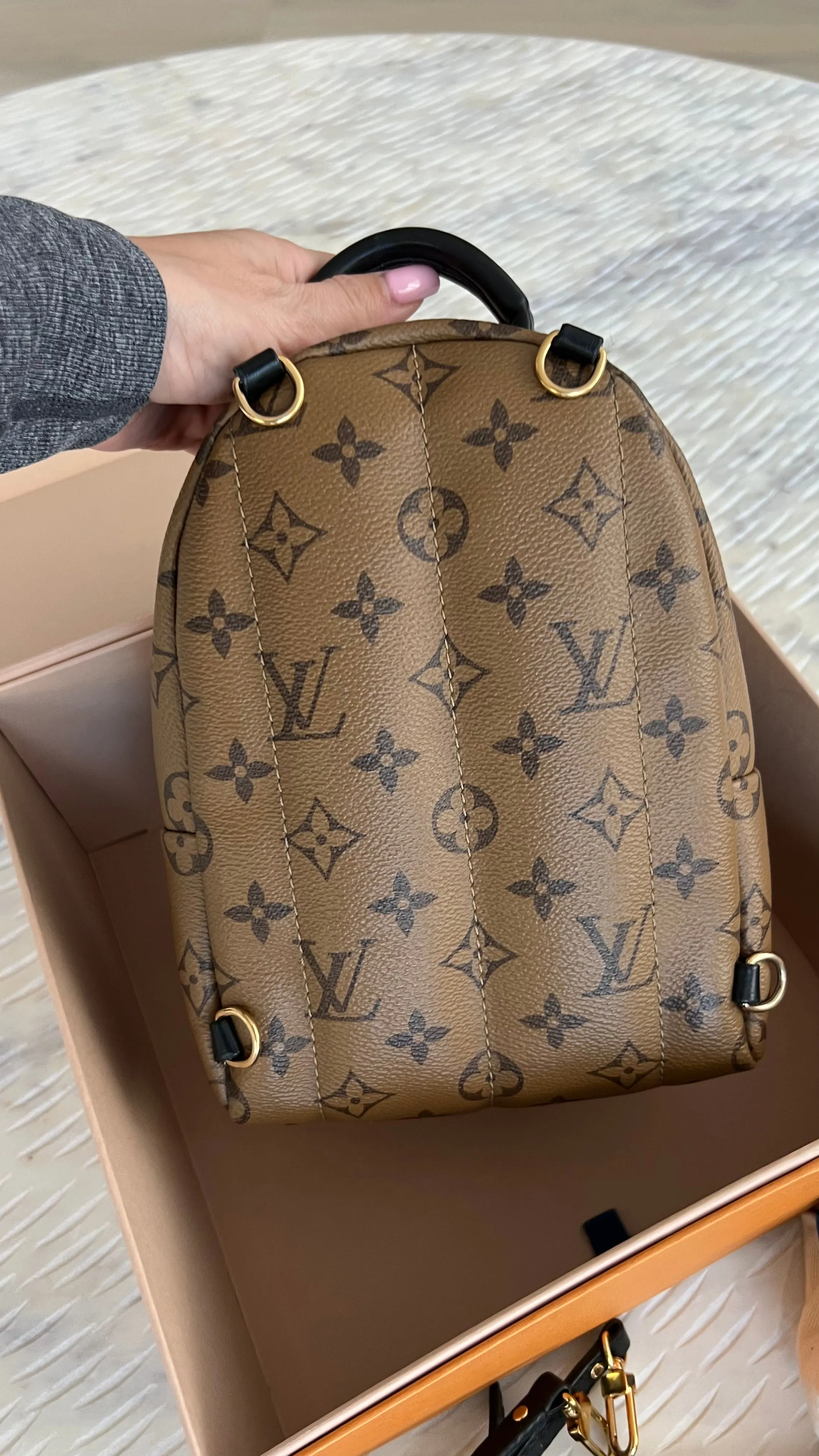 Louis Vuitton Palm Springs Mini Backpack