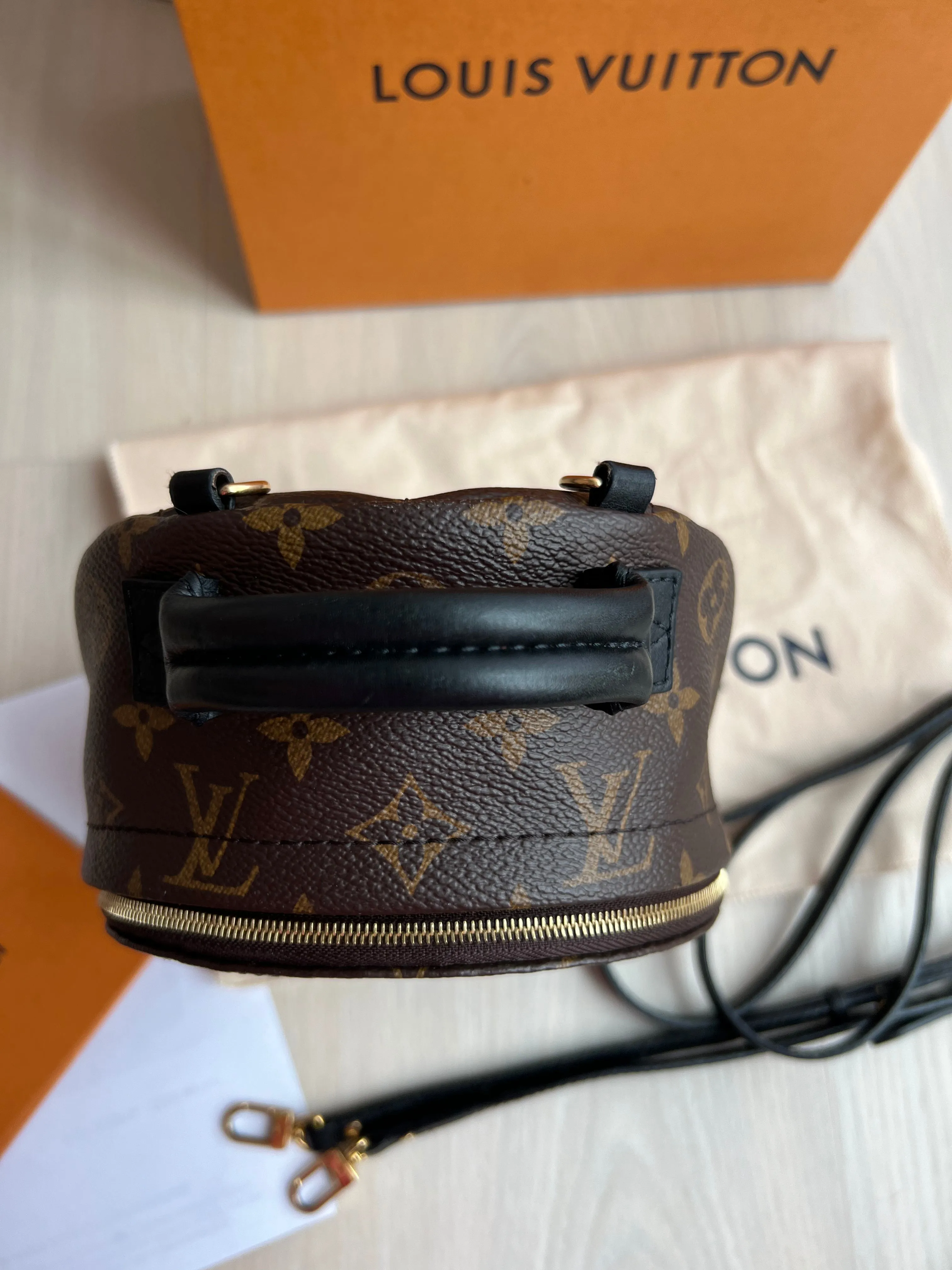 Louis Vuitton Palm Springs Mini Backpack