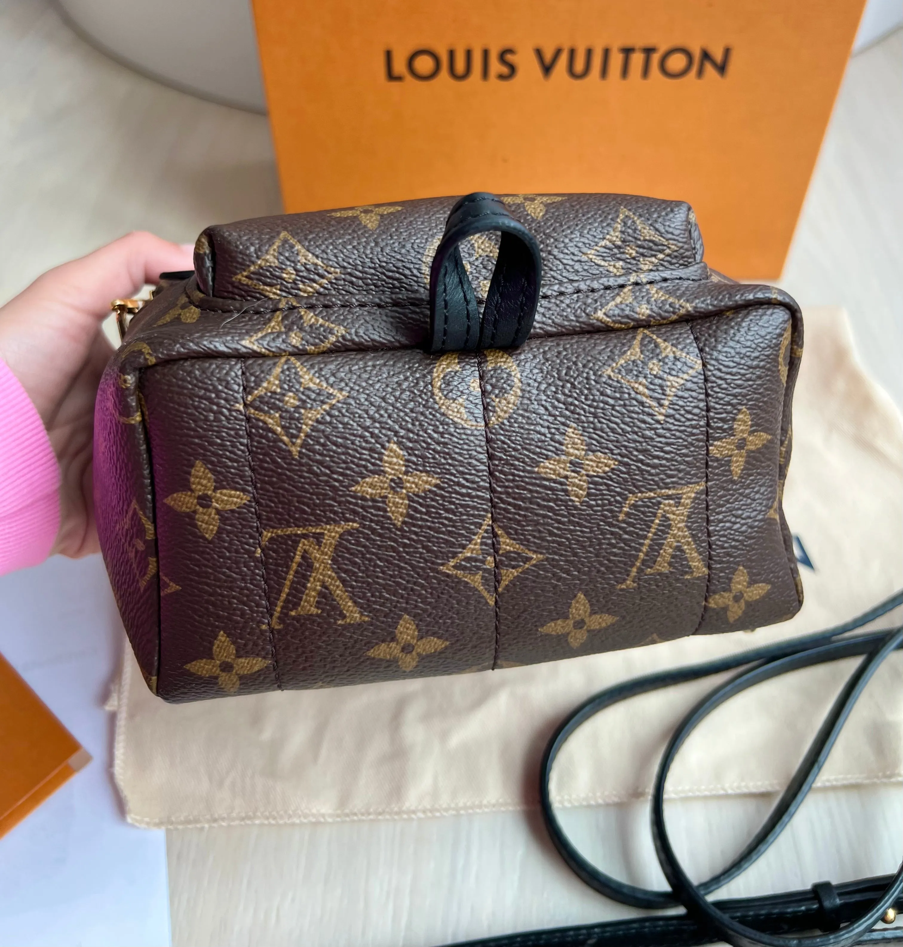 Louis Vuitton Palm Springs Mini Backpack