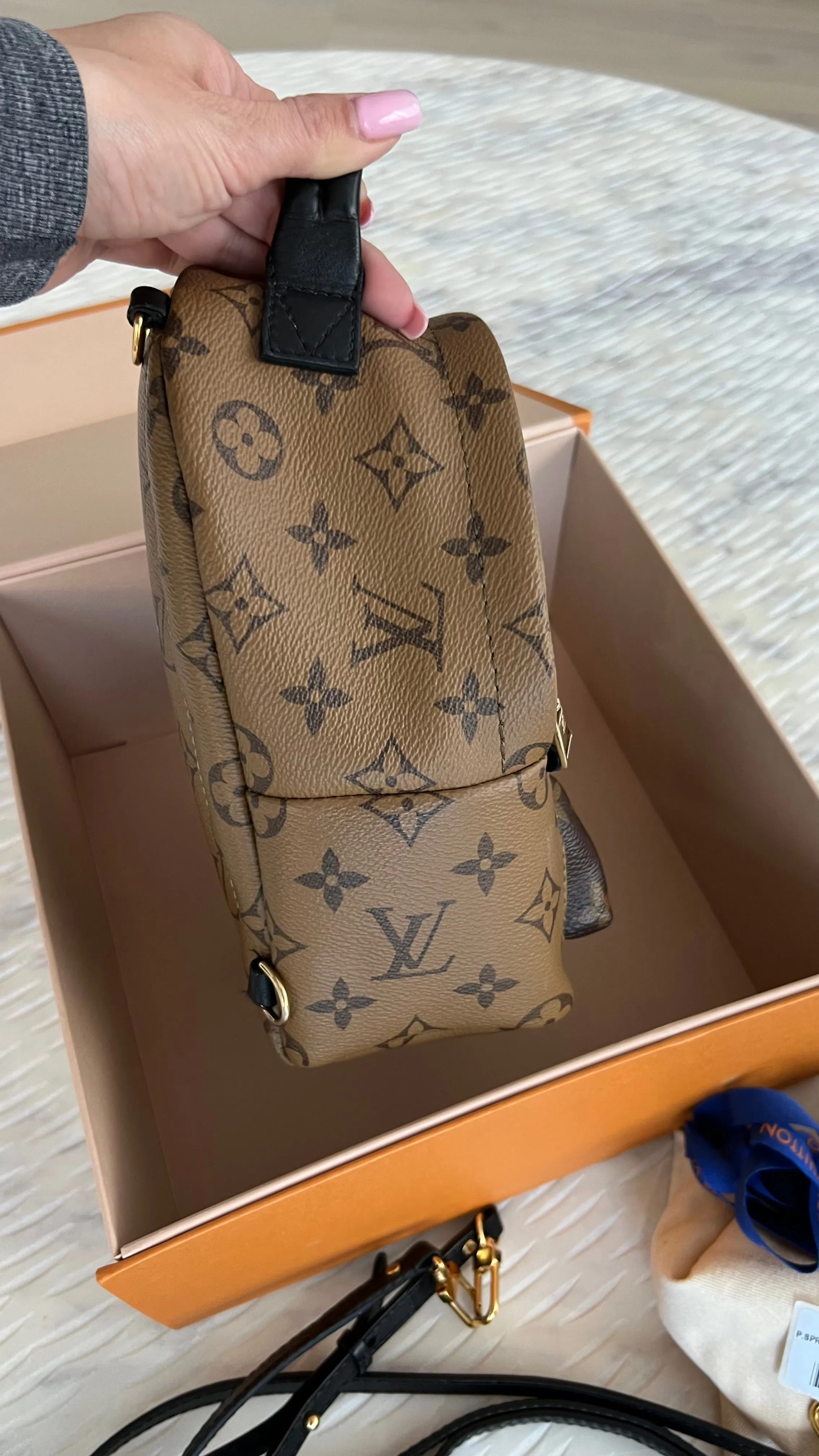 Louis Vuitton Palm Springs Mini Backpack