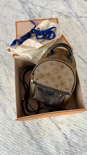 Louis Vuitton Palm Springs Mini Backpack