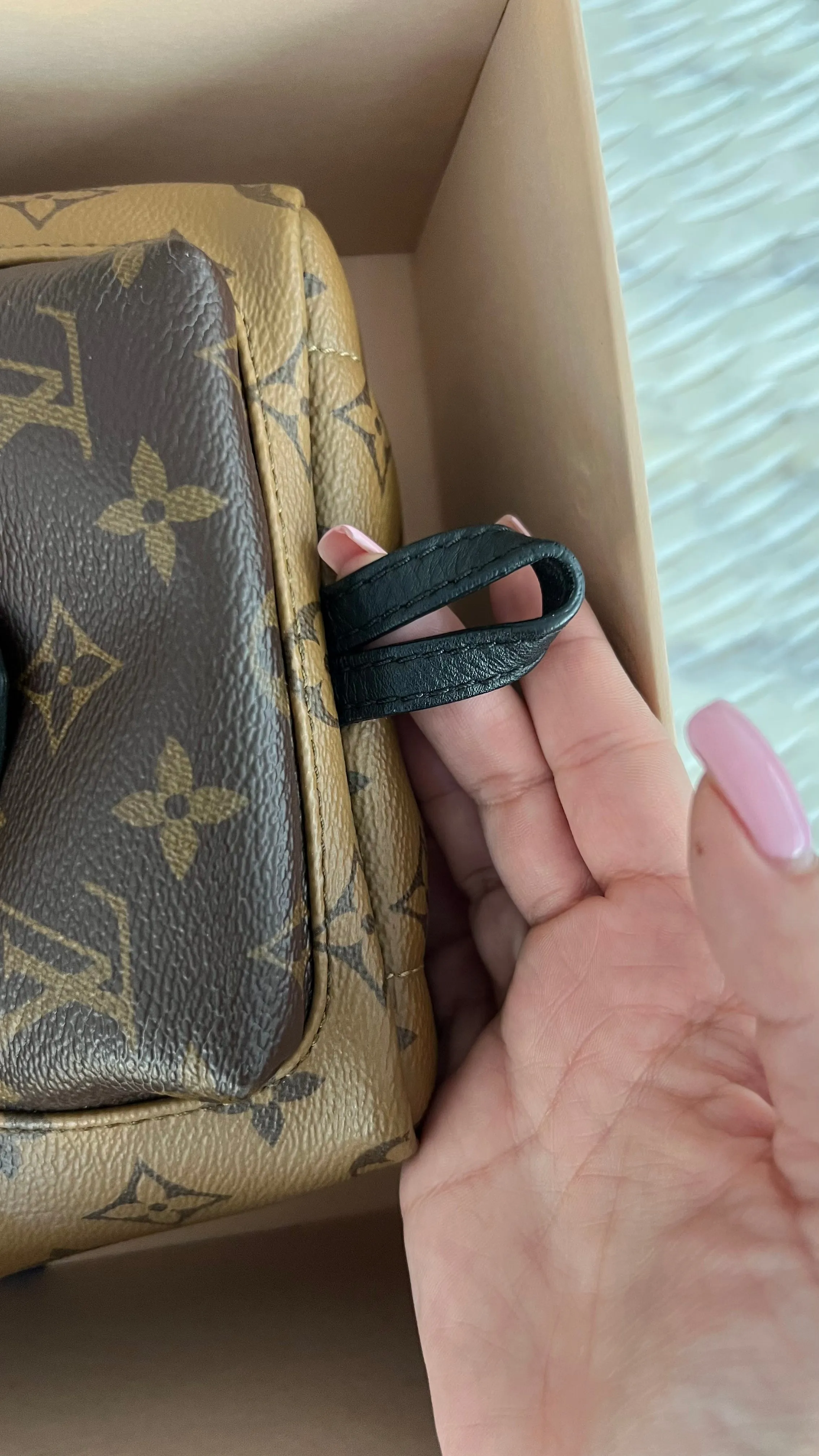 Louis Vuitton Palm Springs Mini Backpack