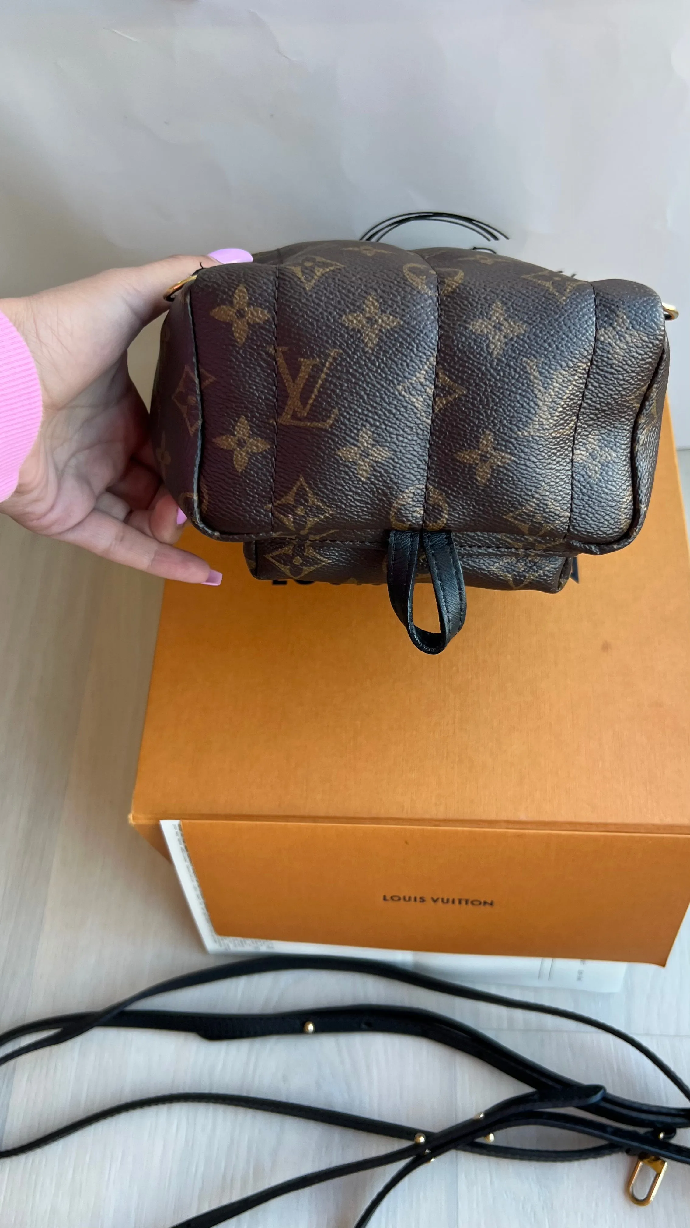 Louis Vuitton Palm Springs Mini Backpack