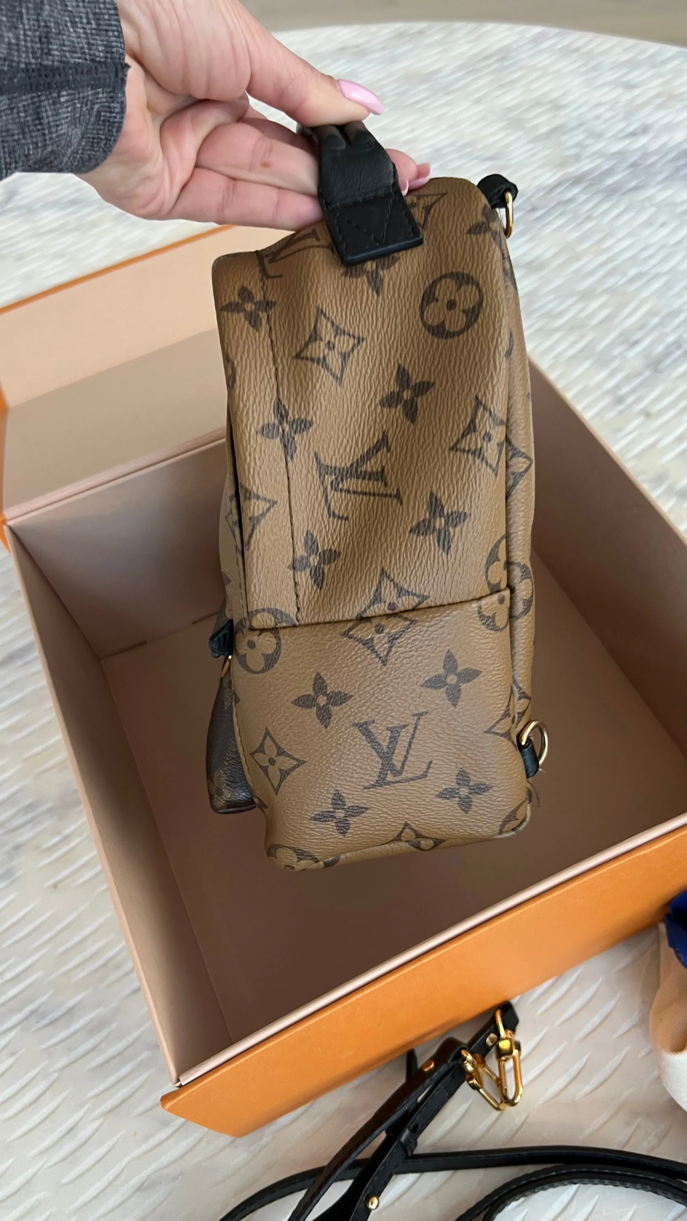 Louis Vuitton Palm Springs Mini Backpack