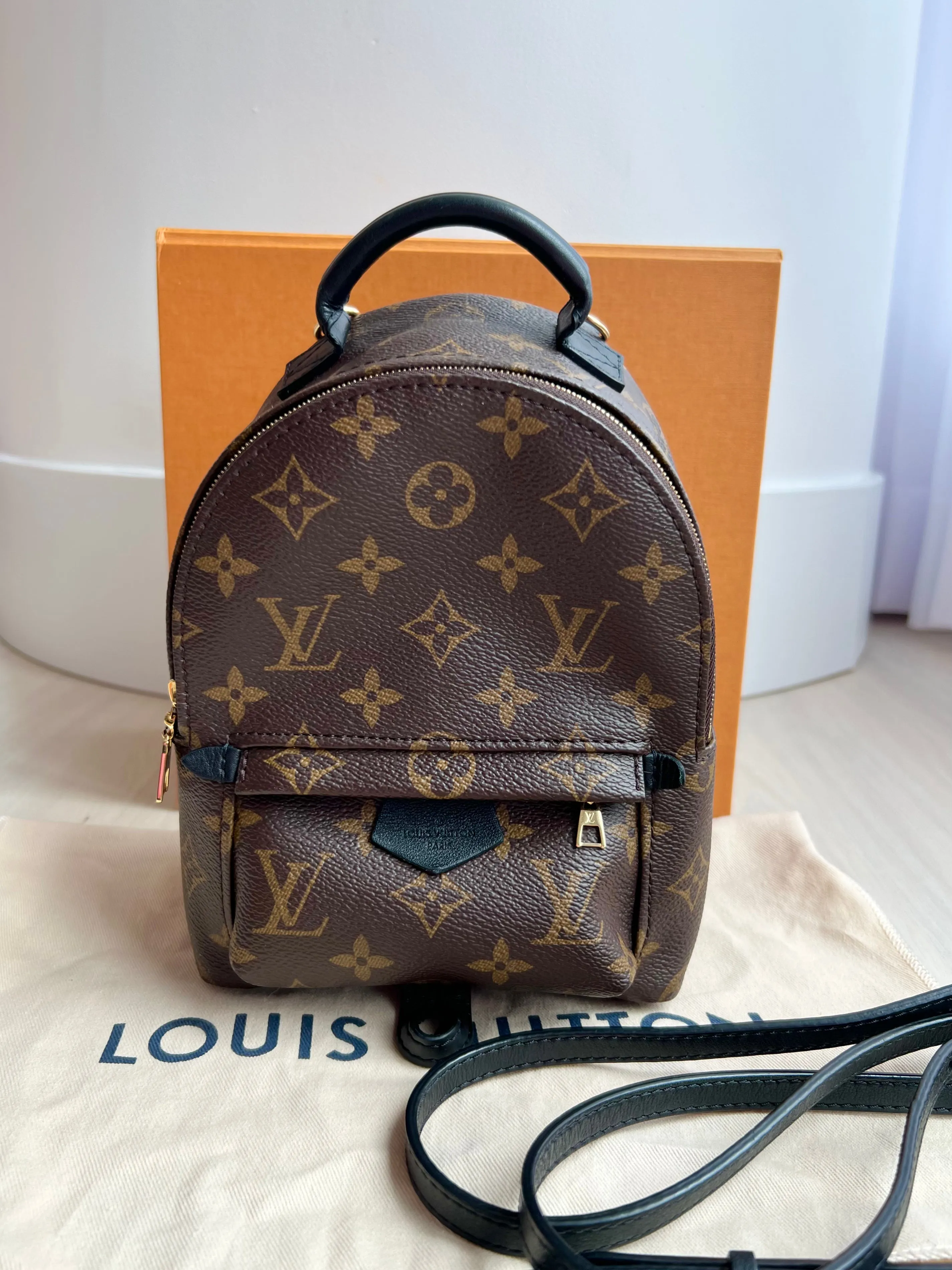 Louis Vuitton Palm Springs Mini Backpack