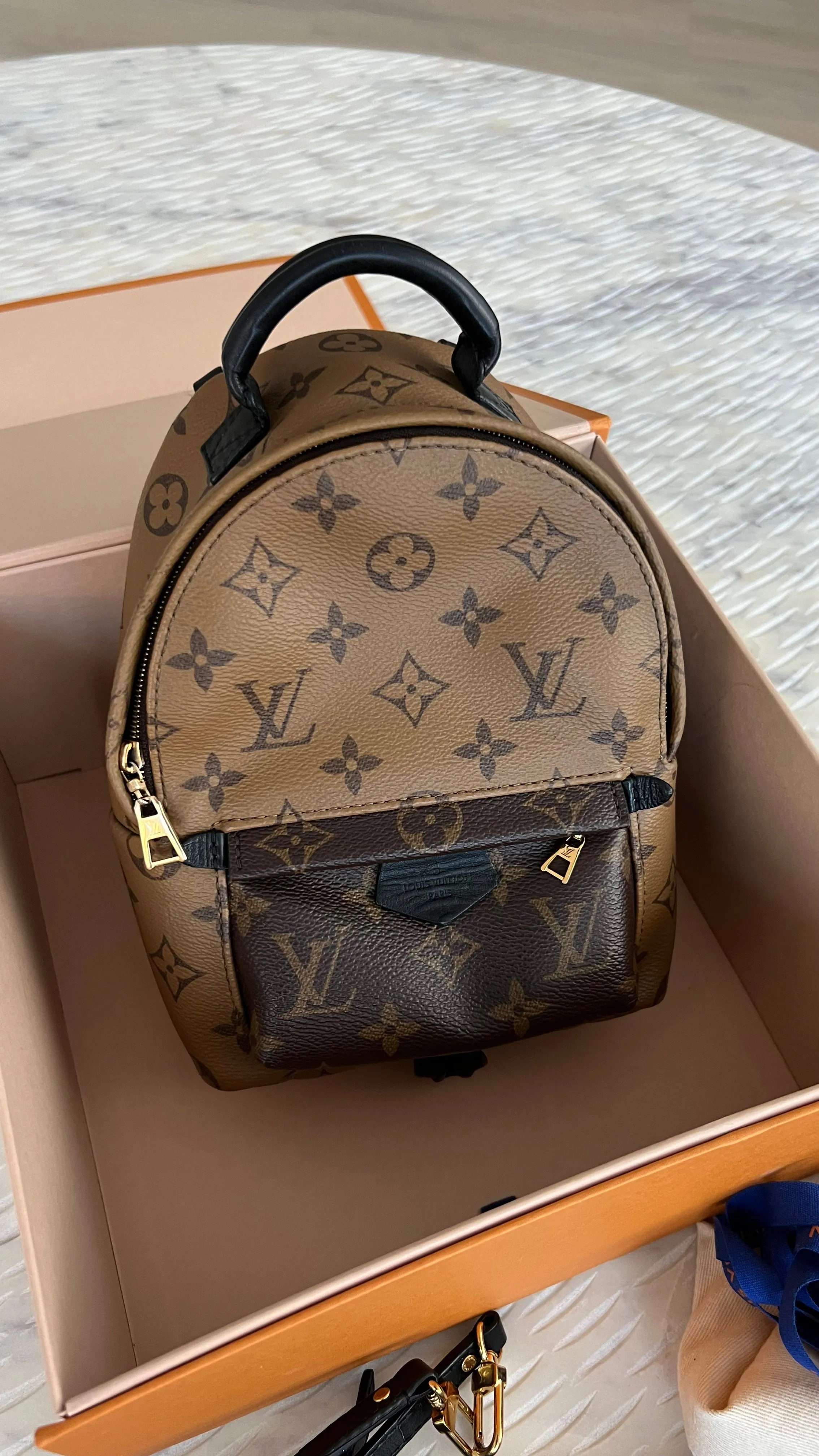 Louis Vuitton Palm Springs Mini Backpack