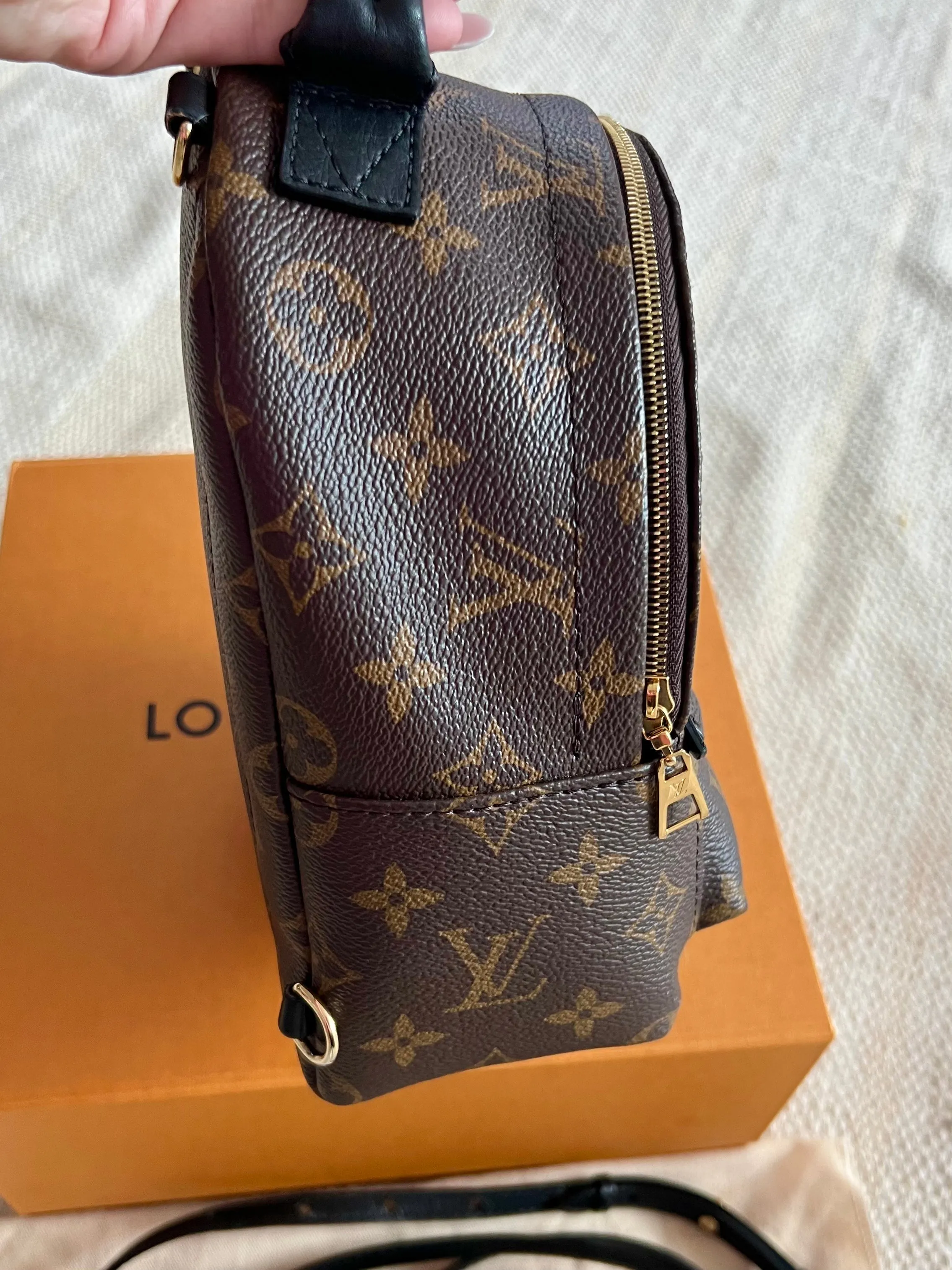 Louis Vuitton Palm Springs Mini Backpack