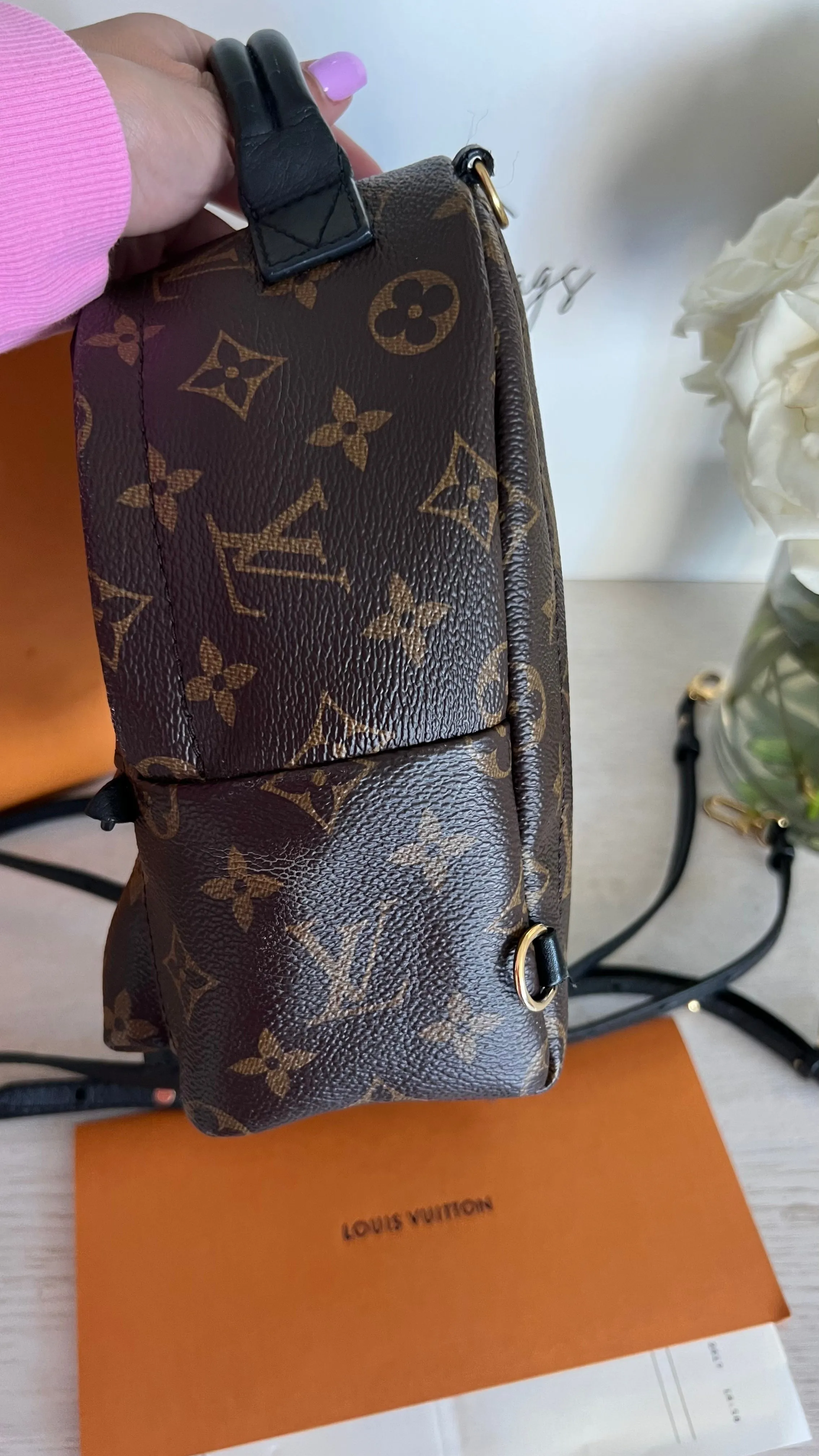 Louis Vuitton Palm Springs Mini Backpack