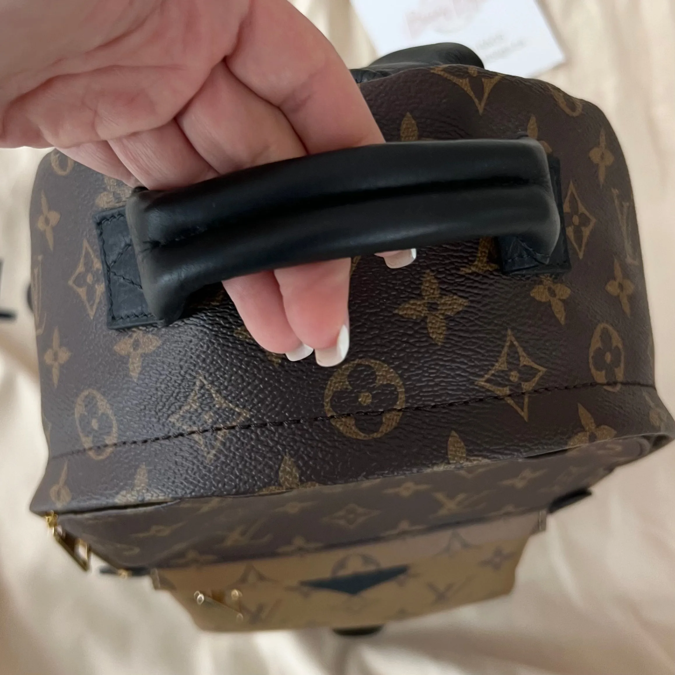 Louis Vuitton Palm Springs PM Backpack