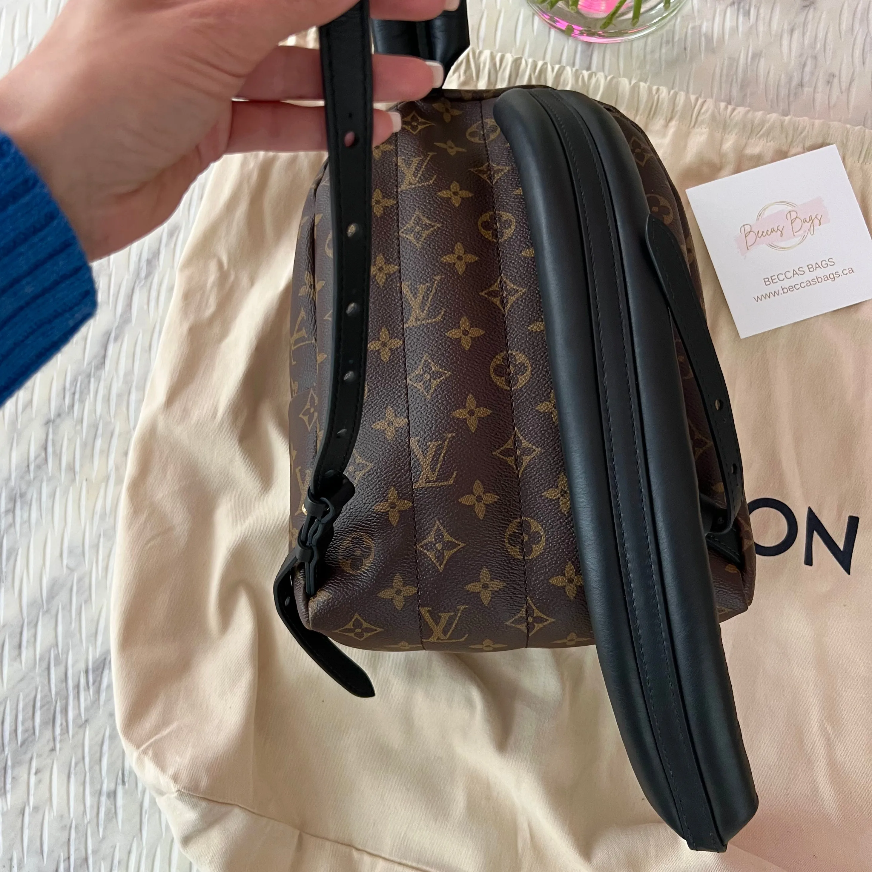 Louis Vuitton Palm Springs PM Backpack