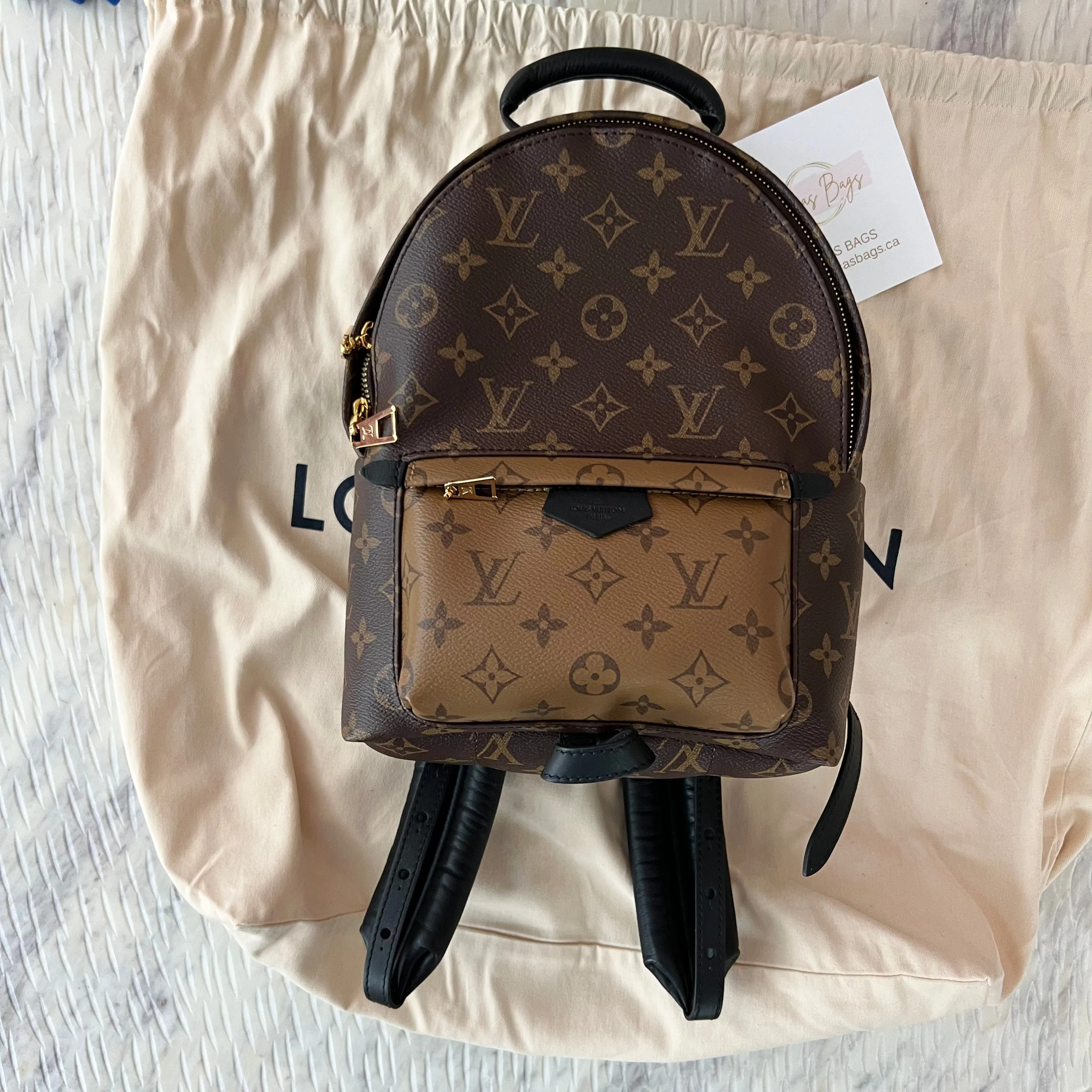 Louis Vuitton Palm Springs PM Backpack