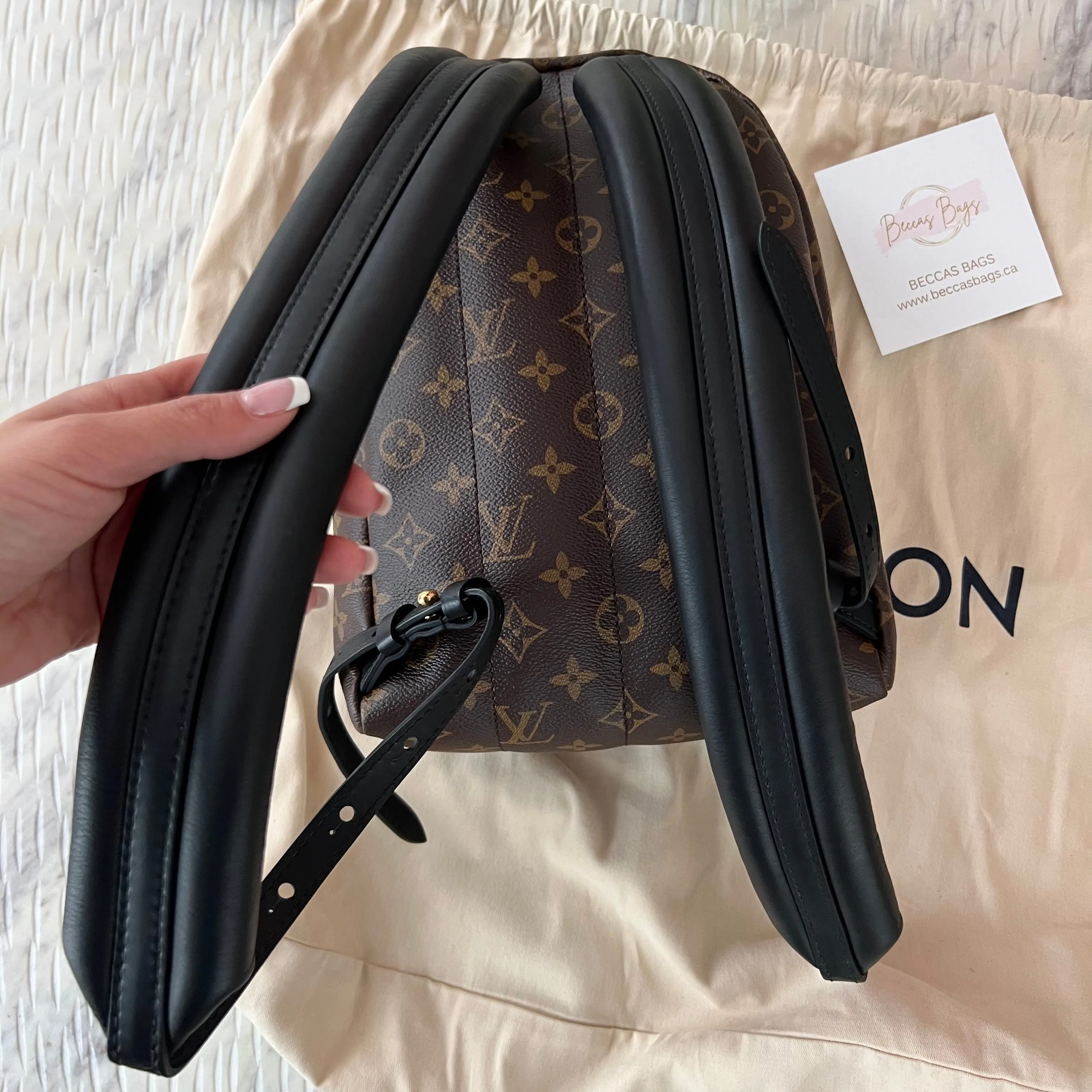 Louis Vuitton Palm Springs PM Backpack