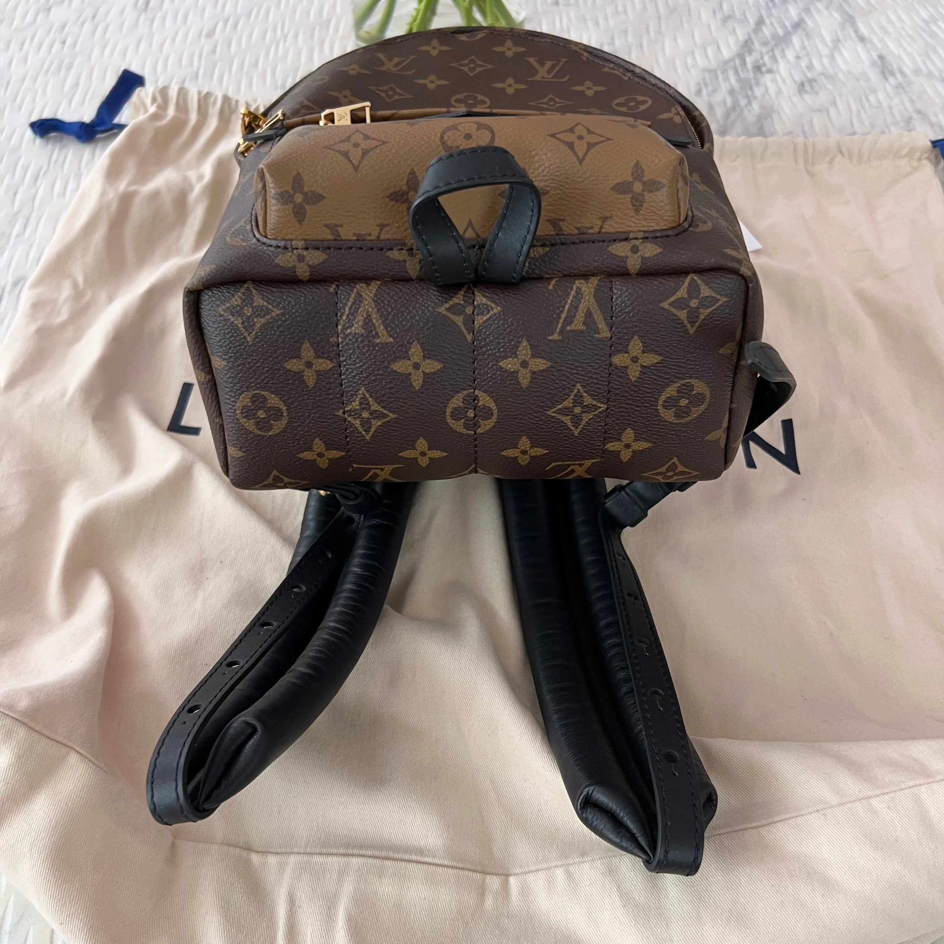 Louis Vuitton Palm Springs PM Backpack