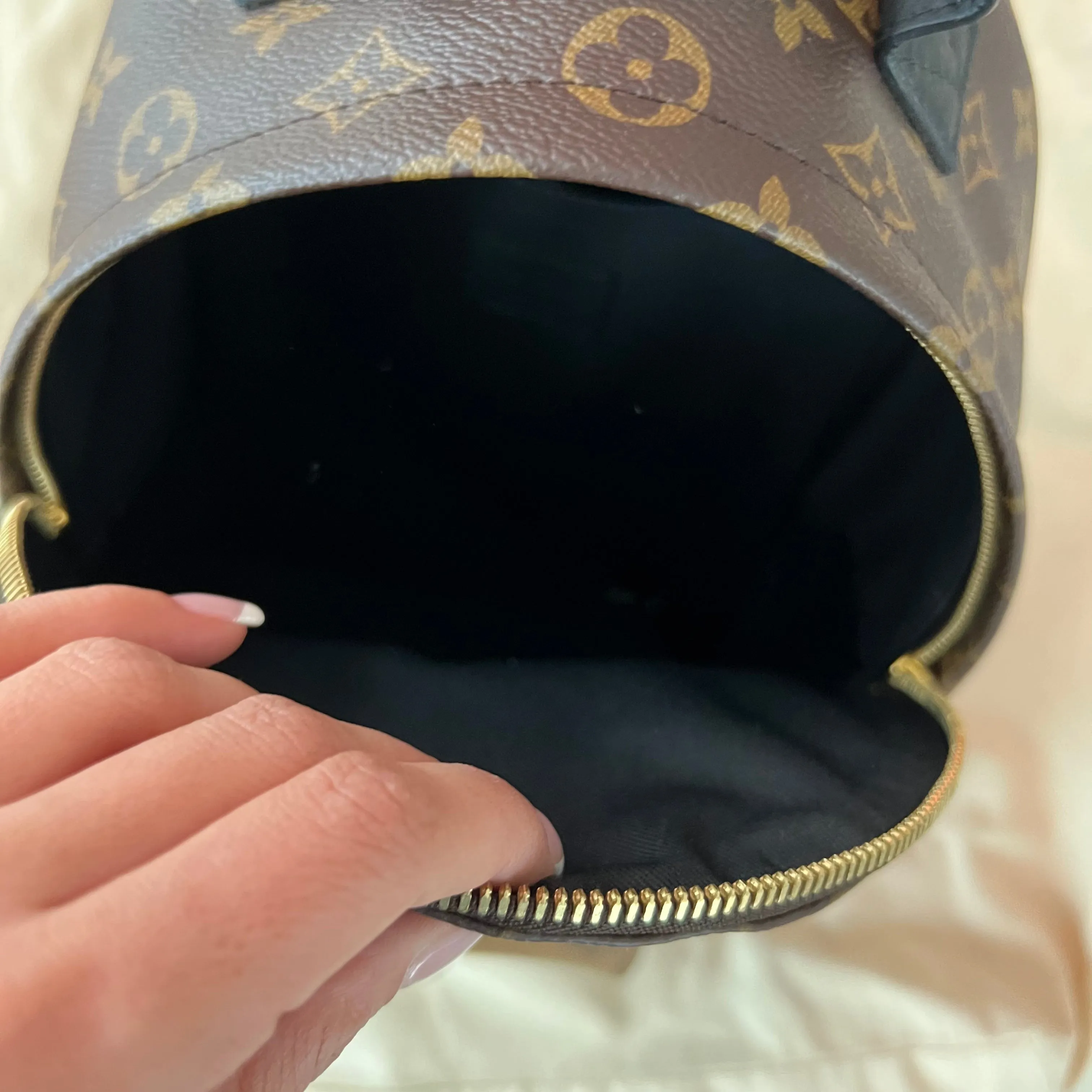 Louis Vuitton Palm Springs PM Backpack