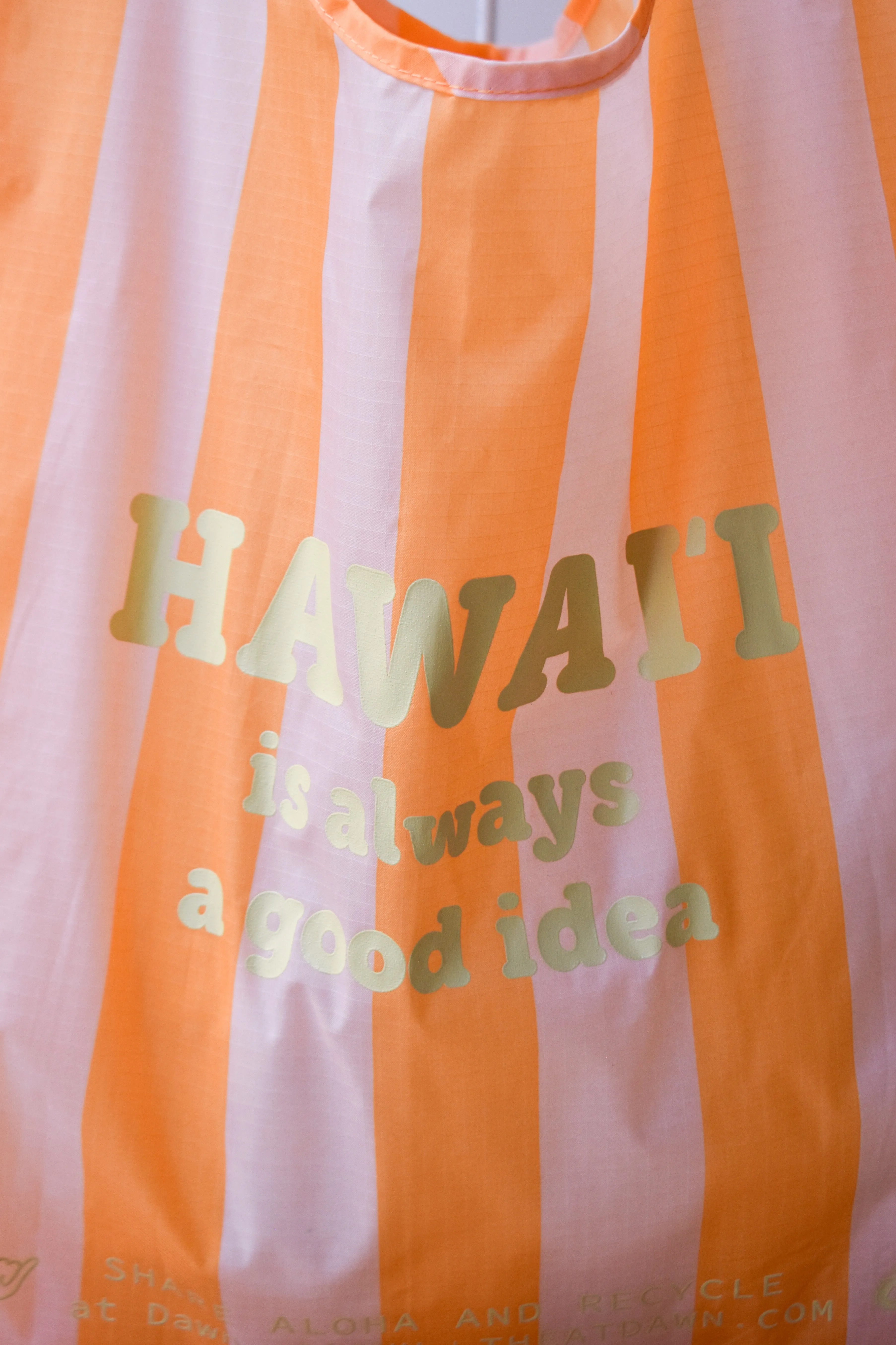 "Hawaii" Standard Baggu - Tangerine Wide Stripe