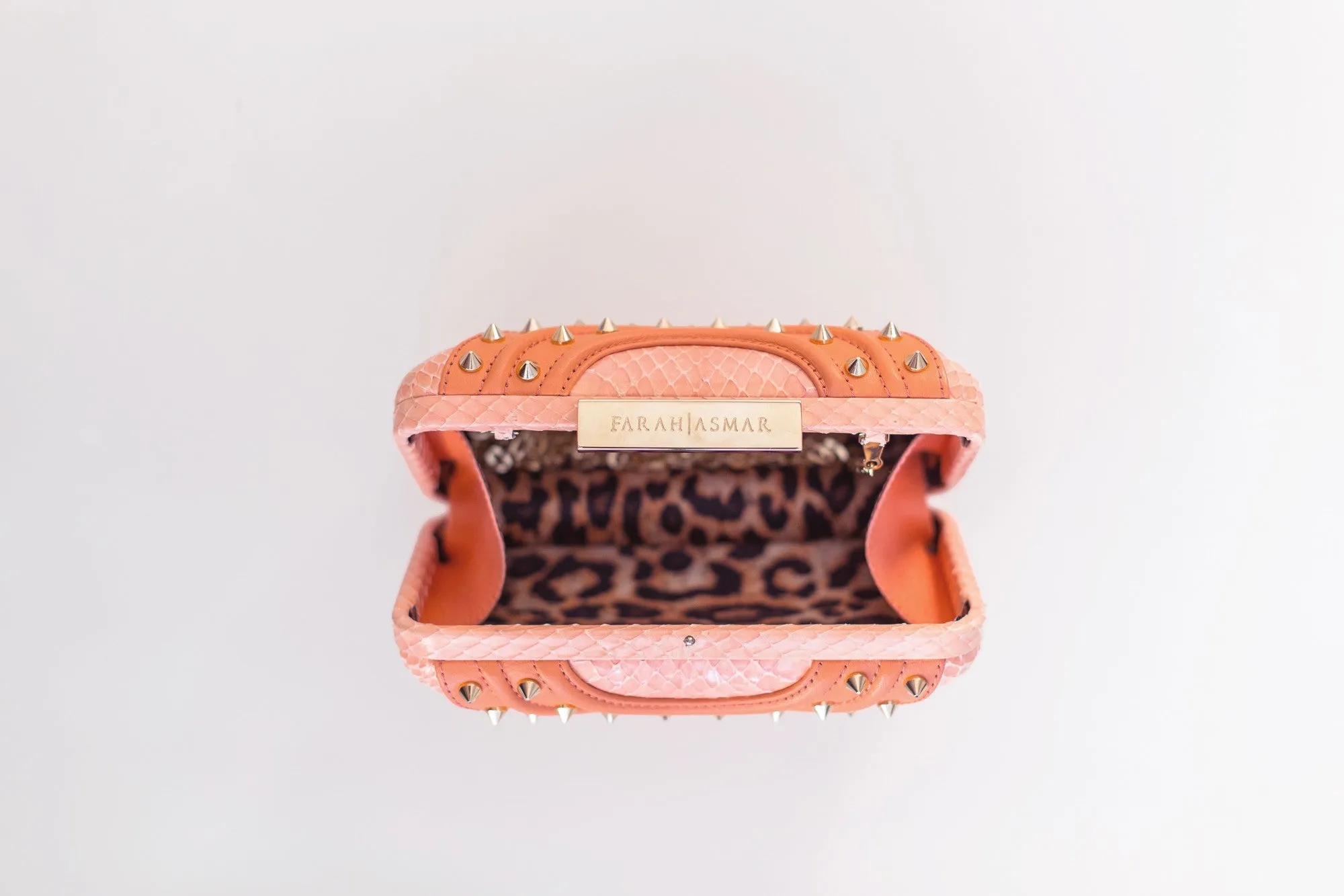 Salmon Gina Clutch